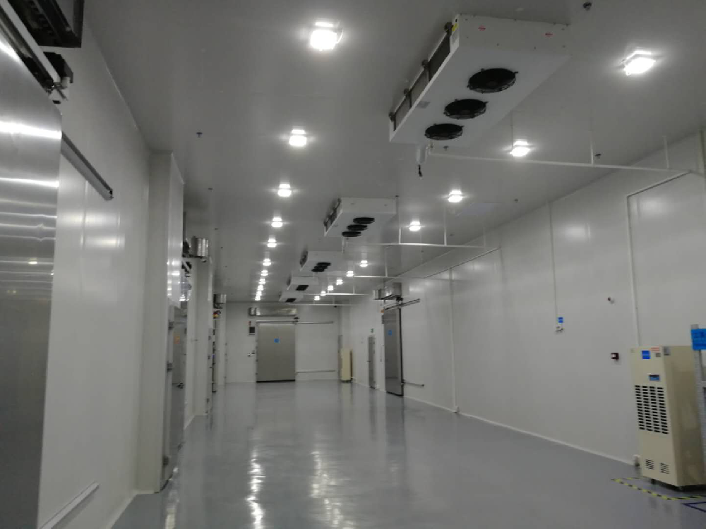 建設2000m3血漿蛋白冷藏庫安裝費用價格需要多少？