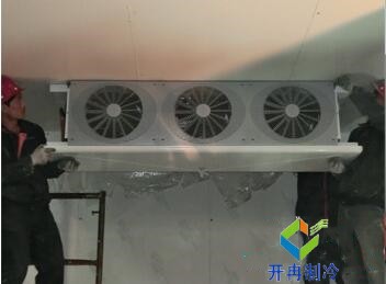 東莞100平水果保鮮冷庫造價大概要多少錢？