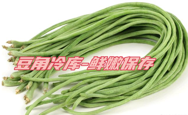豆角工業冷庫：鮮嫩保存，一年四季供應