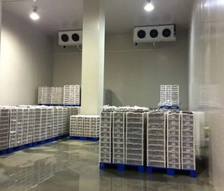 規(guī)范建造100平帶魚冷庫，為食品保鮮護(hù)航