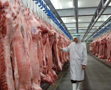 我想建個(gè)800噸肉類冷庫(kù)，一共需要多少錢