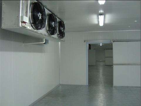 700噸海鮮冷庫建造，低溫冷庫需投資多少錢