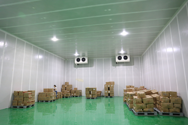 建800平米鮮玉米冷凍庫，-18℃冷凍庫造價多少