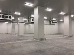 建造大型冷鏈配送中心冷庫(kù)（生鮮配送冷庫(kù)）設(shè)計(jì)建造多少錢