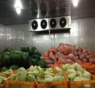 50噸蔬菜保鮮庫(kù)決定造價(jià)的因素有哪些？