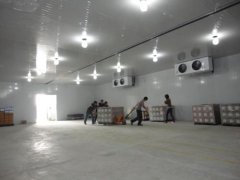 10000噸果蔬氣調庫建造需要多大面積，前期大概預算是多少？
