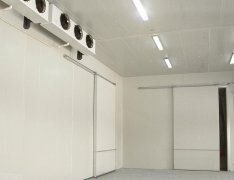 竹筍氣調(diào)庫預(yù)算成本是多少？竹筍的保存方法